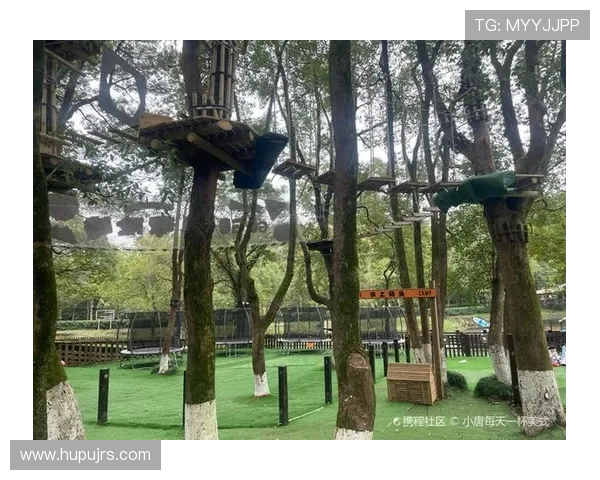 南京极限运动队实力引发热议运动员表现与训练水平成焦点