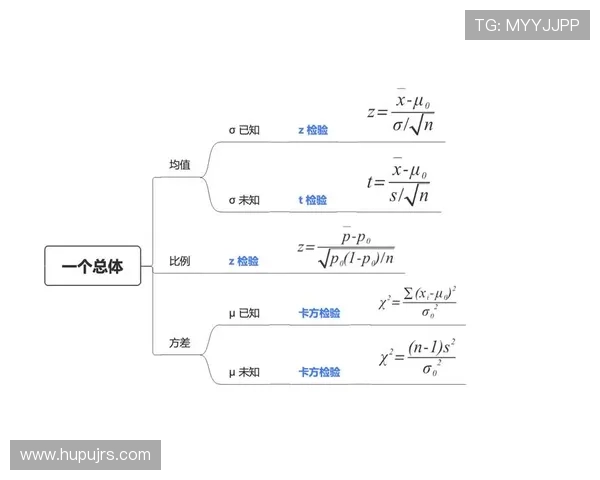 广州篮球队战术表现深度数据分析与战绩对比研究